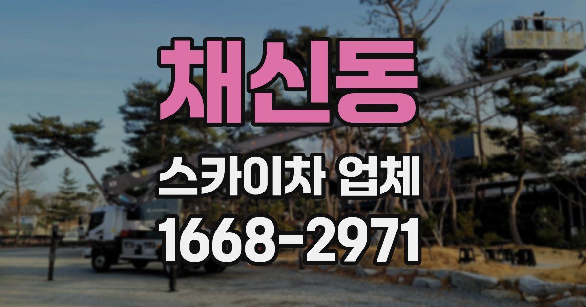 채신동 스카이차 업체