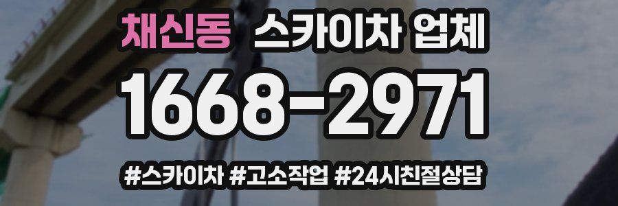 채신동 스카이차 업체