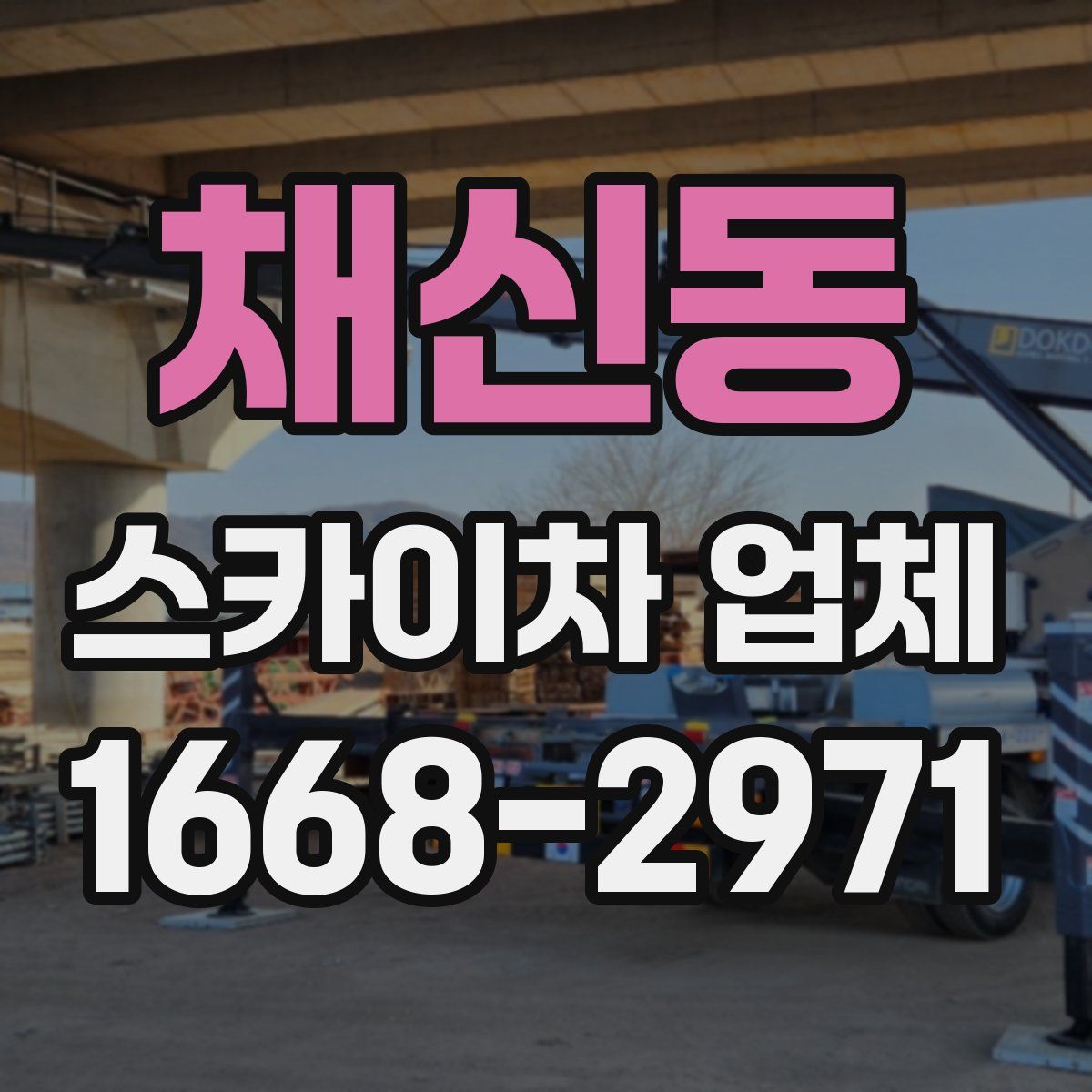 채신동 스카이차 업체