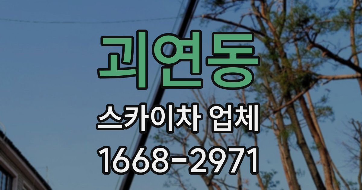 괴연동 스카이차 업체