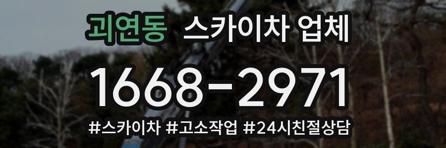괴연동 스카이차 업체