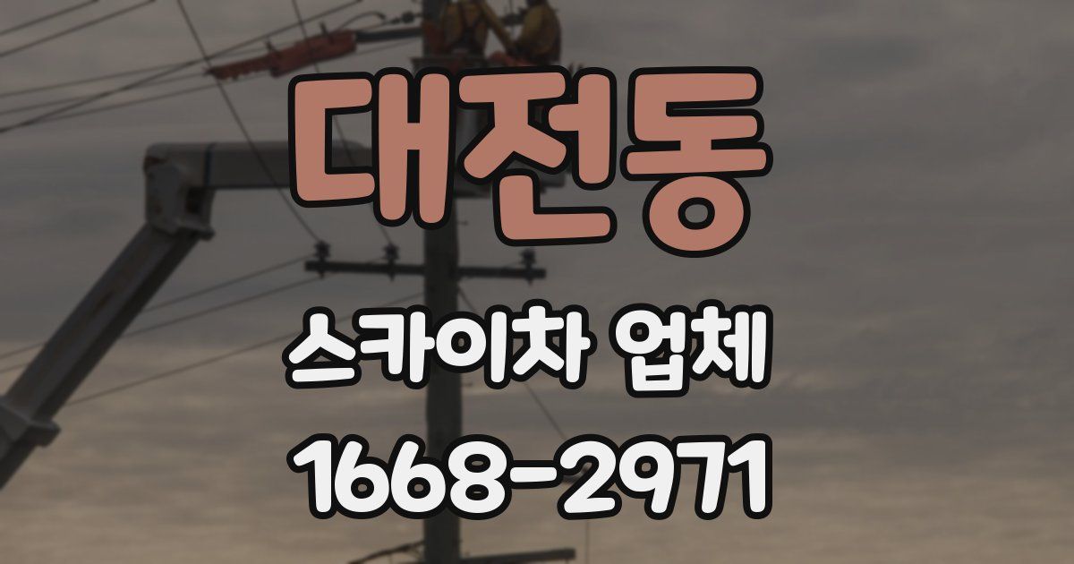 대전동 스카이차 업체