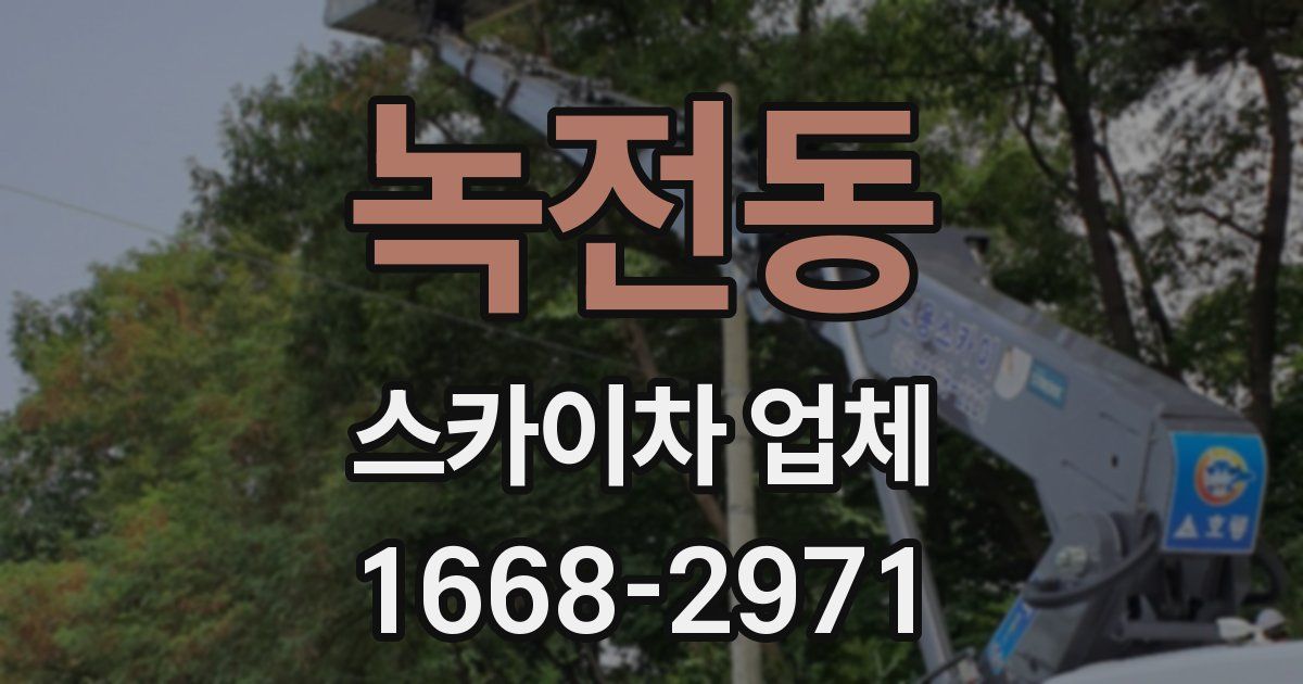 녹전동 스카이차 업체
