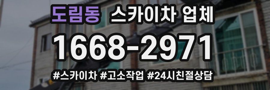 도림동 스카이차 업체