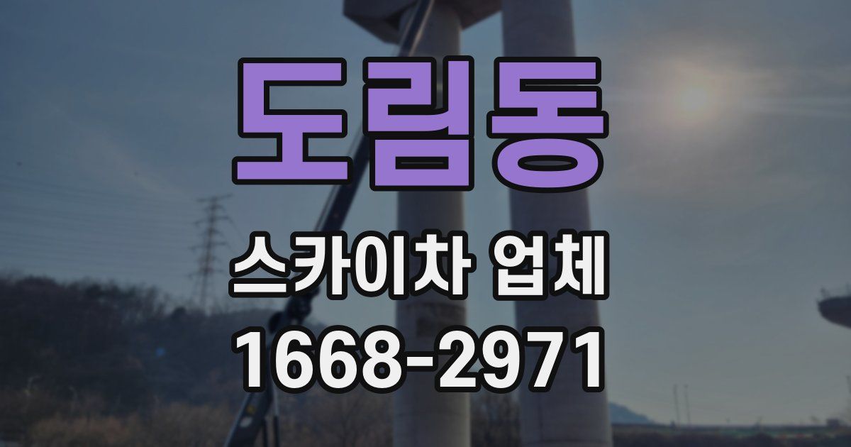 도림동 스카이차 업체