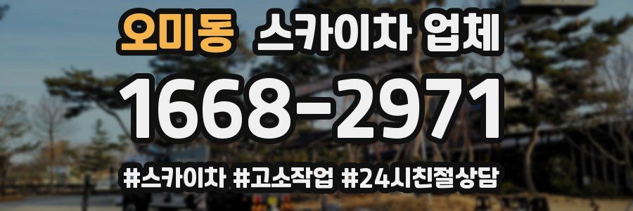 오미동 스카이차 업체