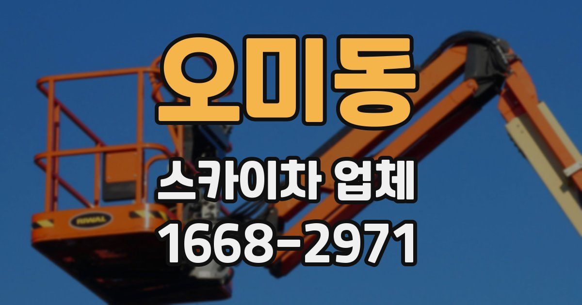 오미동 스카이차 업체