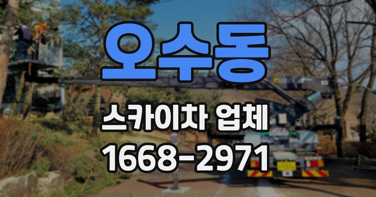 오수동 스카이차 업체