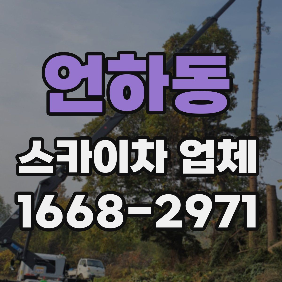 언하동 스카이차 업체 운영 시간과 예약 팁