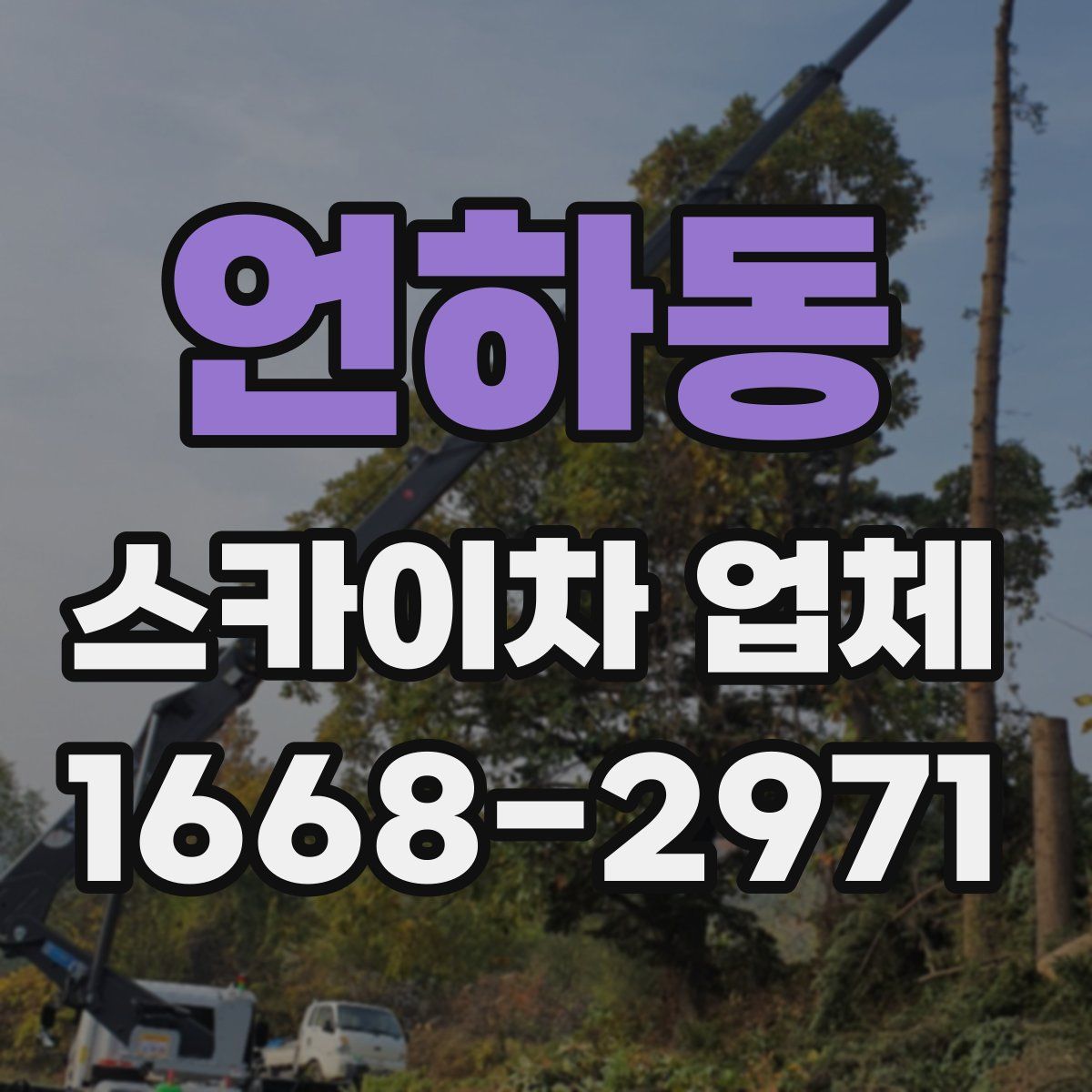 언하동 스카이차 업체