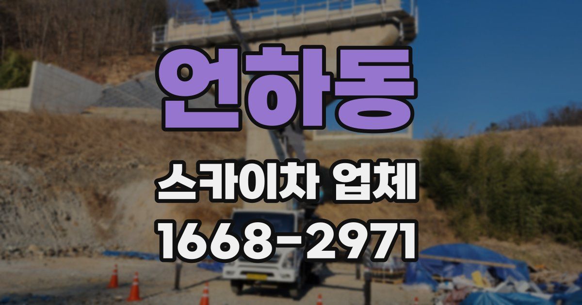 언하동 스카이차 업체