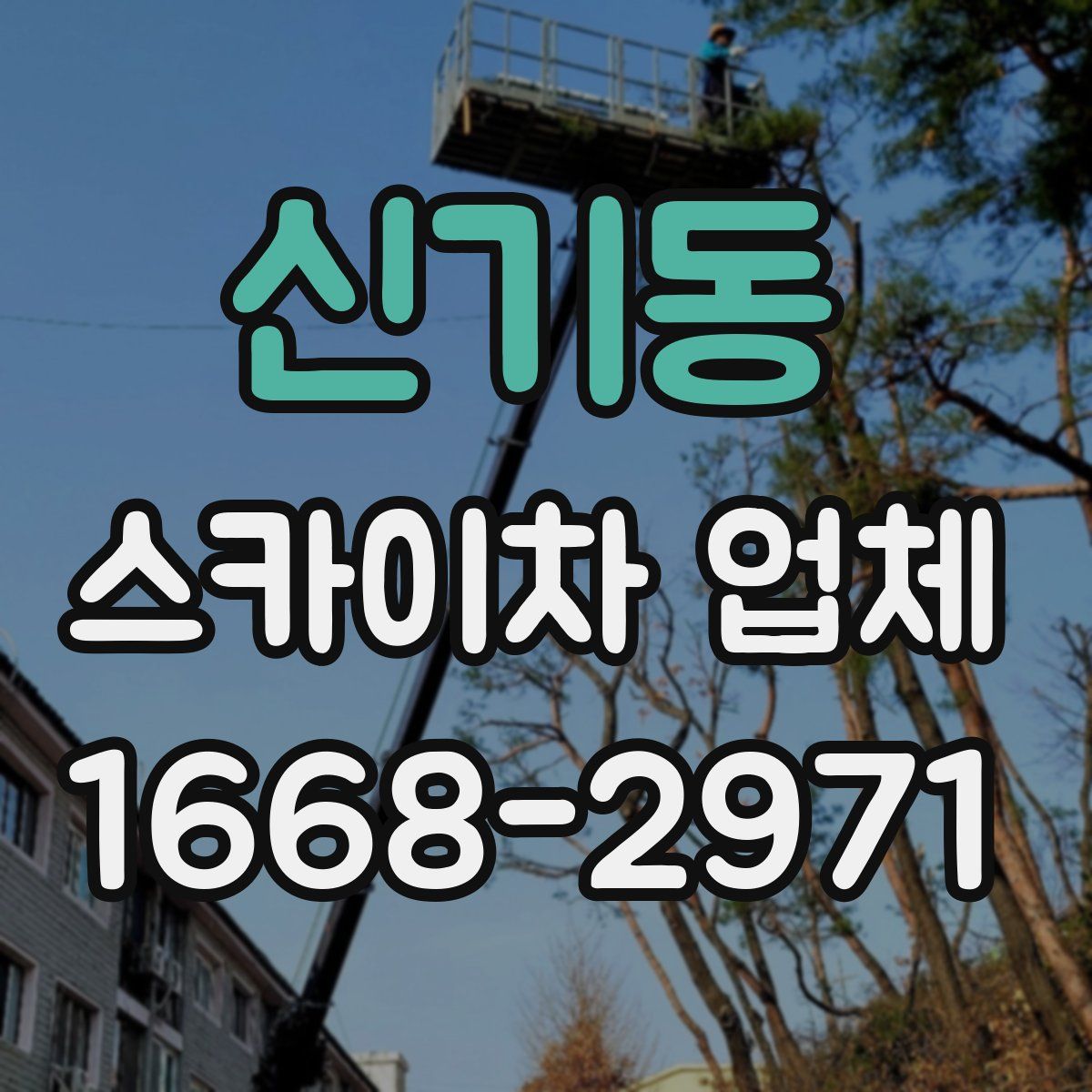 신기동 스카이차 업체