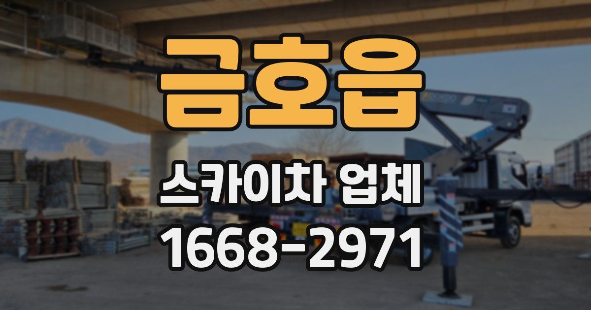 금호읍 스카이차 업체