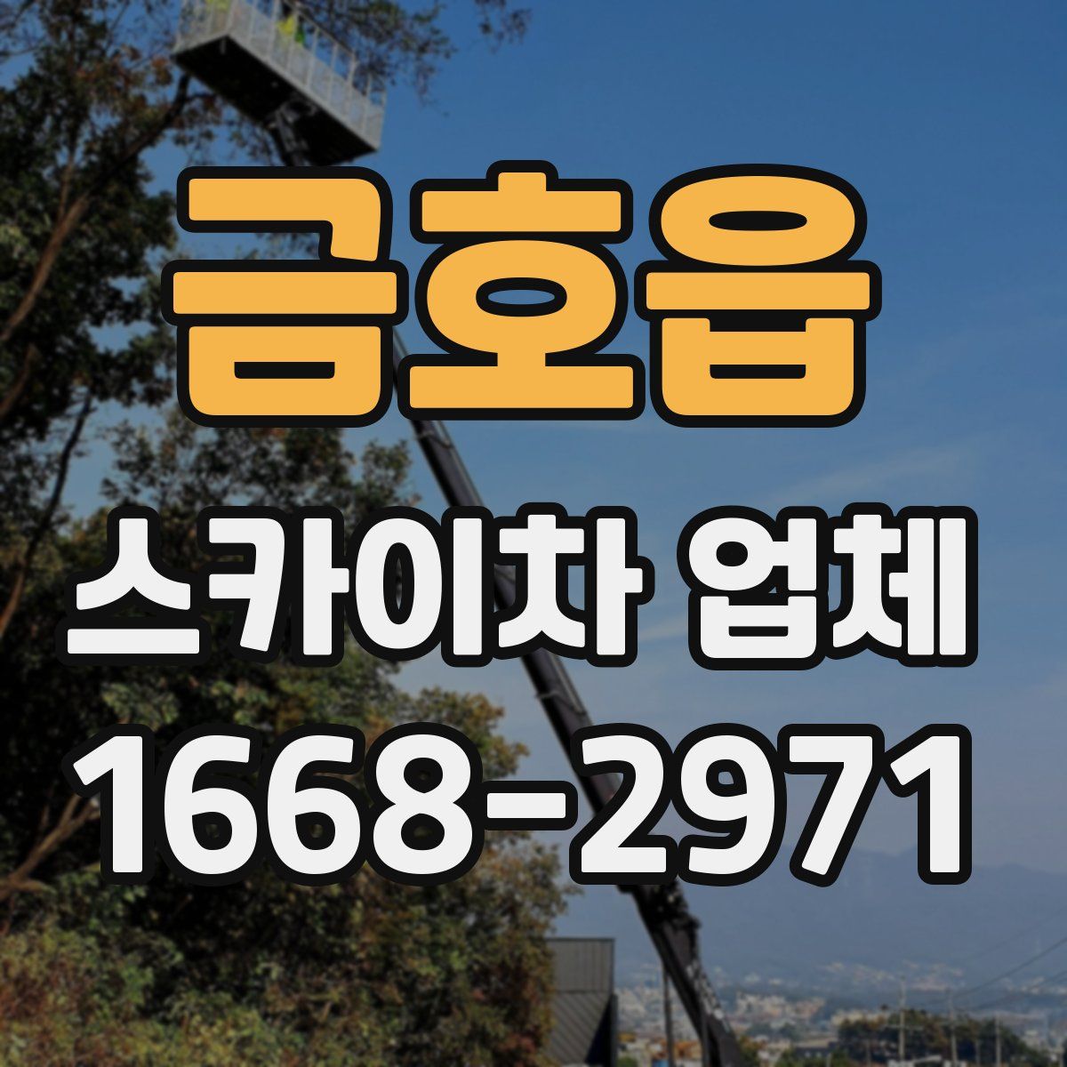 금호읍 스카이차 업체