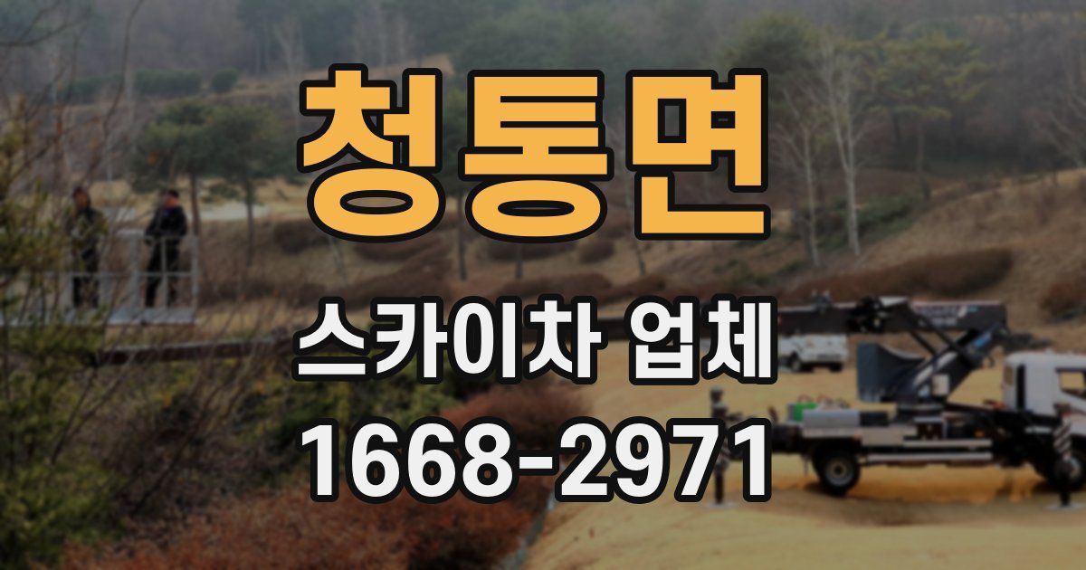 청통면 스카이차 업체