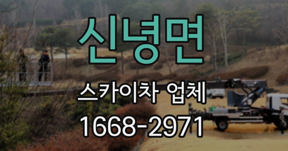 신녕면 스카이차 업체