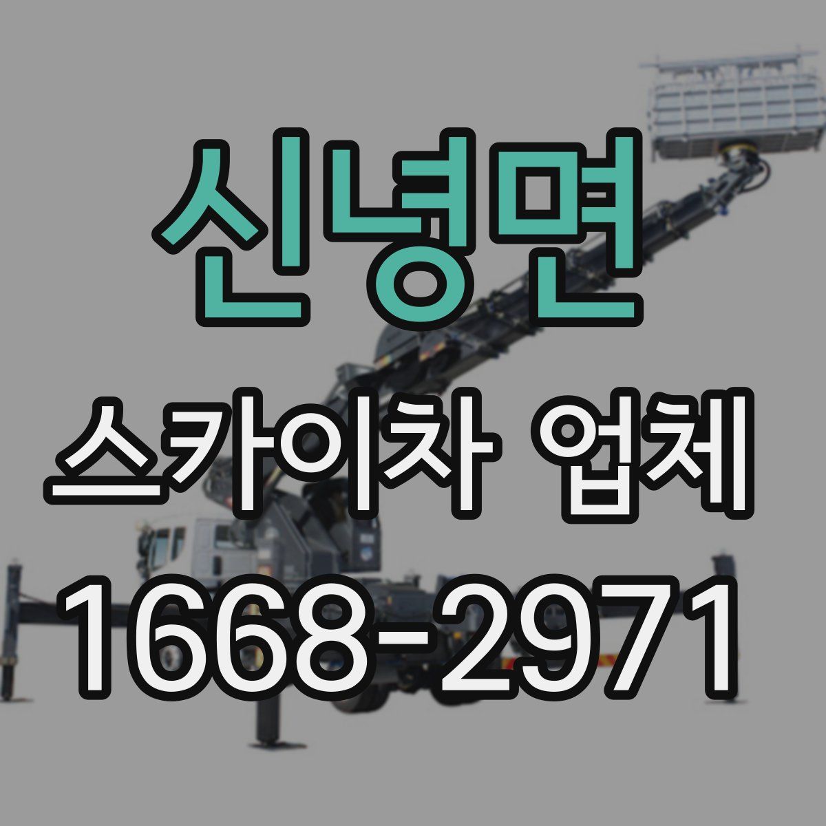 신녕면 스카이차 업체