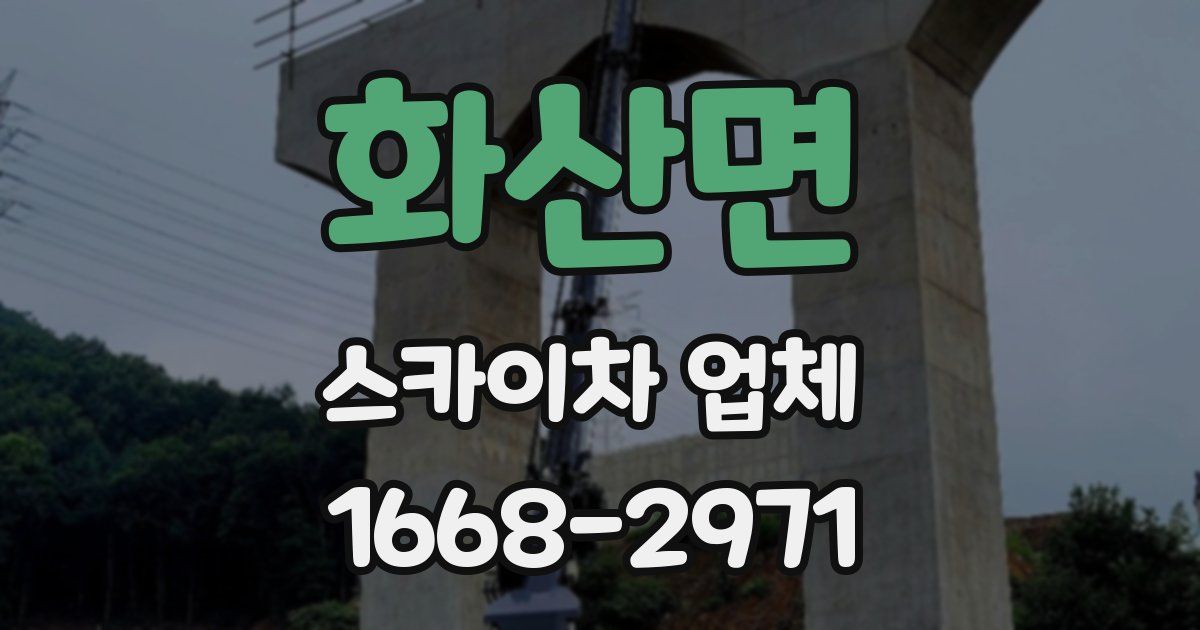 화산면 스카이차 업체