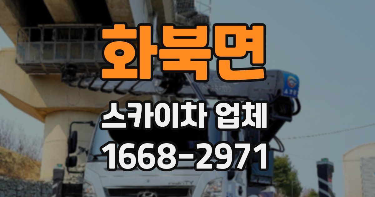 화북면 스카이차 업체