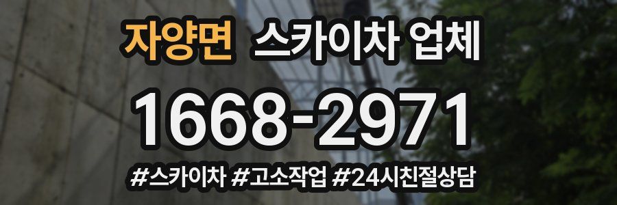 자양면 스카이차 업체