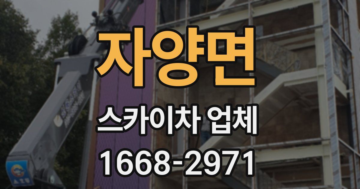 자양면 스카이차 업체