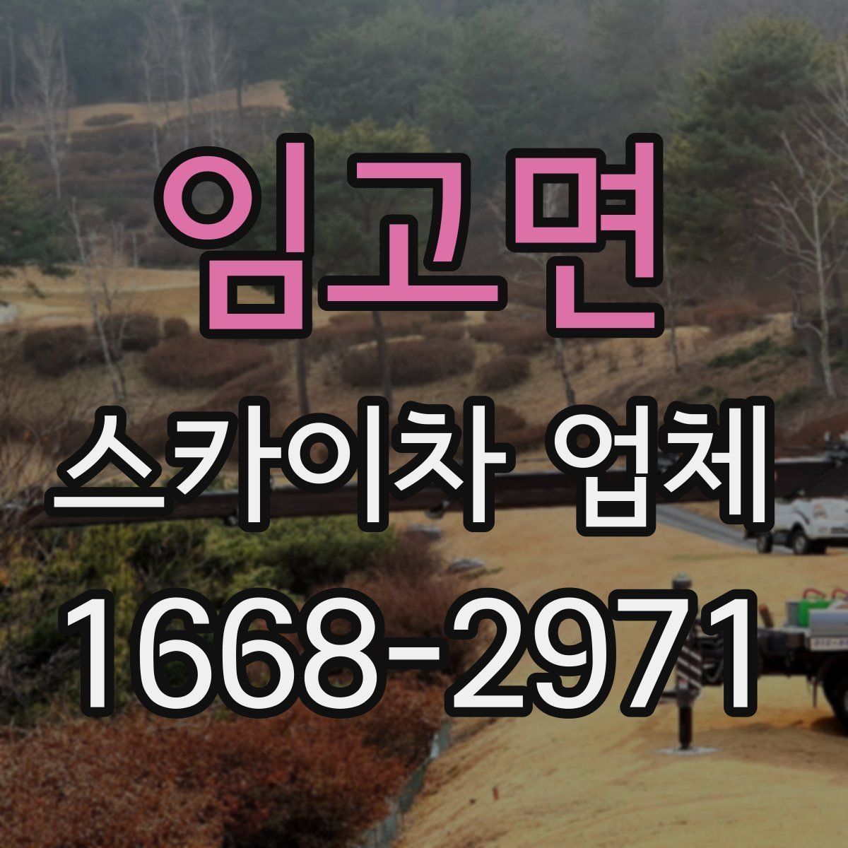 임고면 스카이차 업체