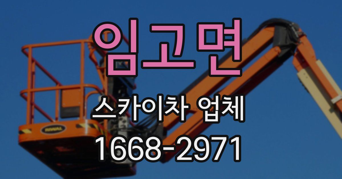 임고면 스카이차 업체
