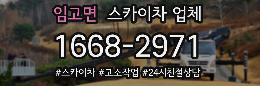 임고면 스카이차 업체