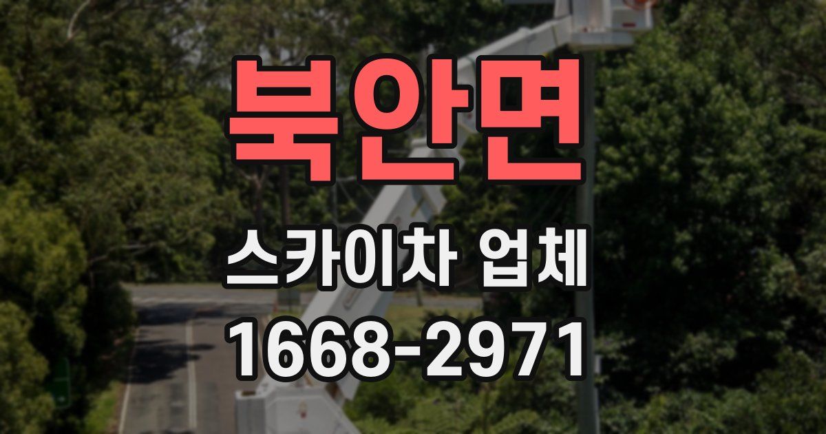 북안면 스카이차 업체