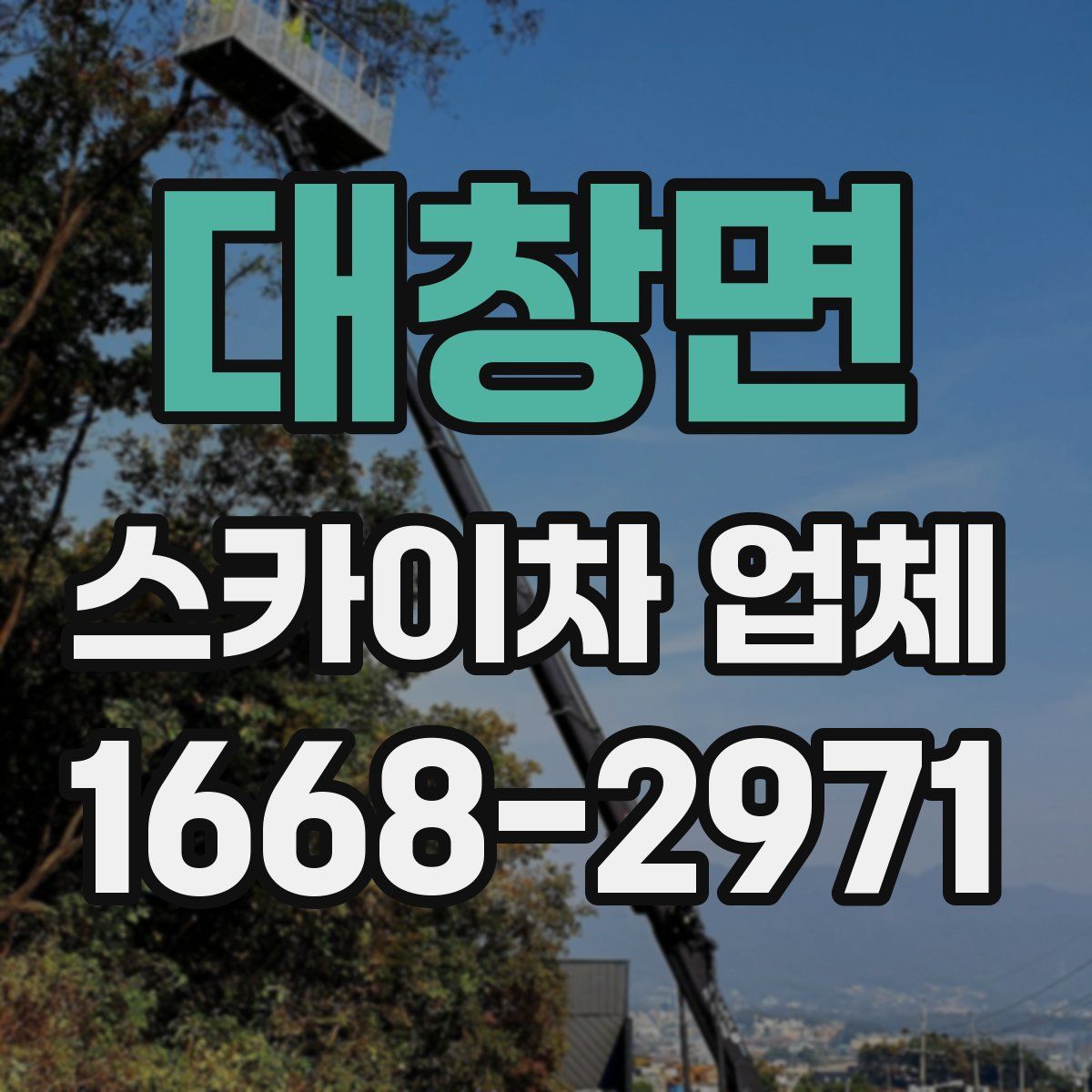 대창면 스카이차 업체