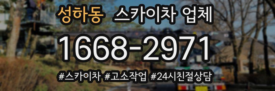 성하동 스카이차 업체
