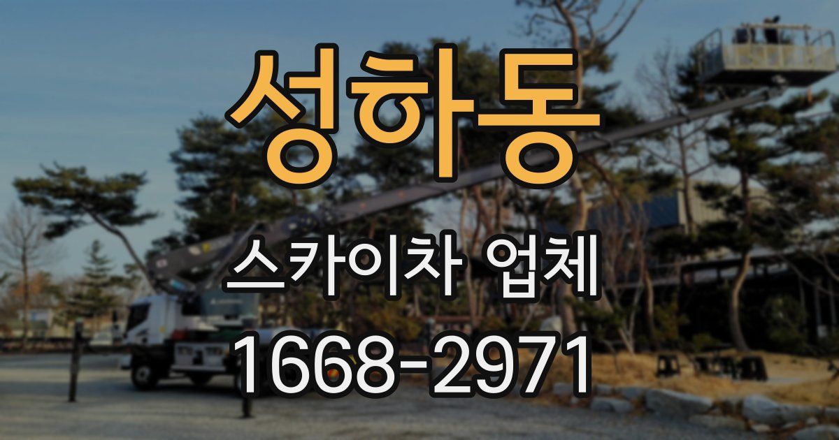 성하동 스카이차 업체