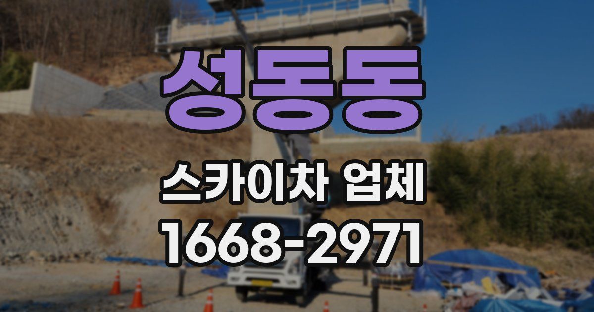 성동동 스카이차 업체