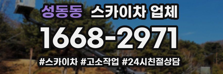 성동동 스카이차 업체