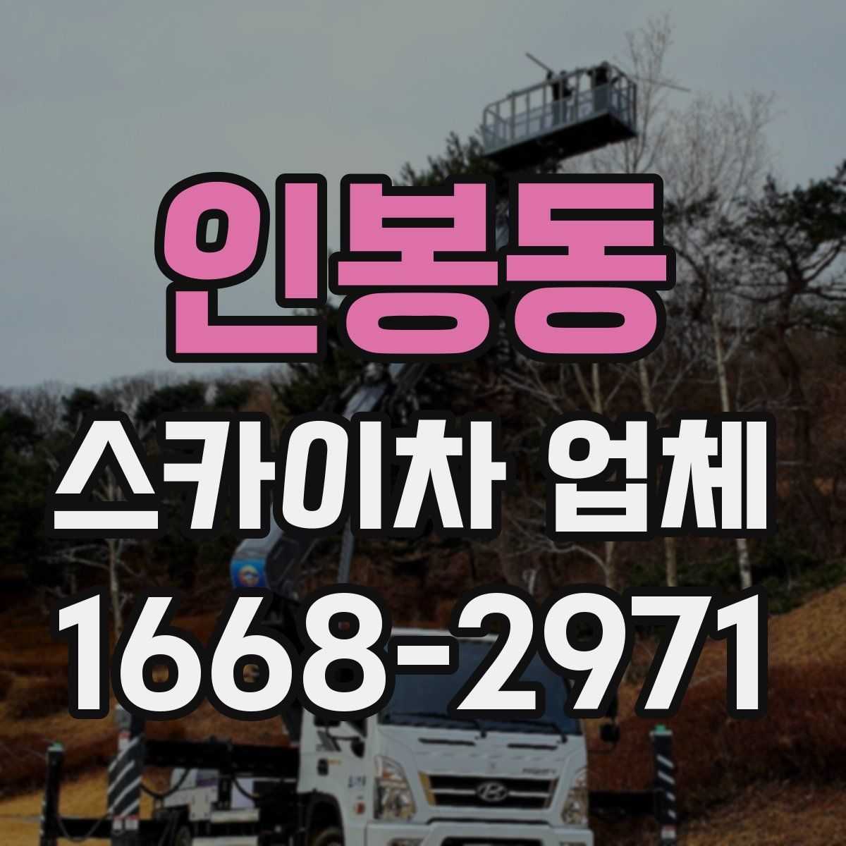 인봉동 스카이차 업체