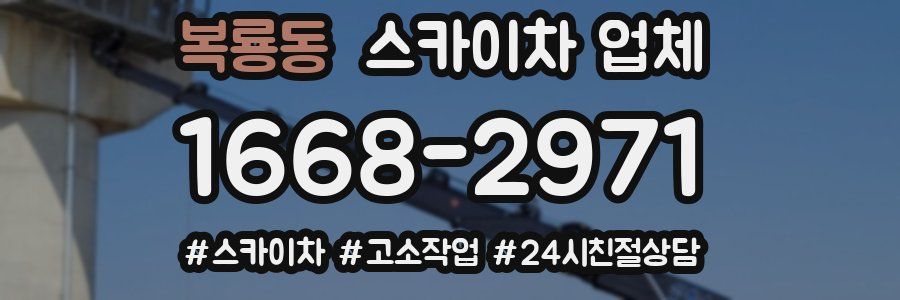 복룡동 스카이차 업체