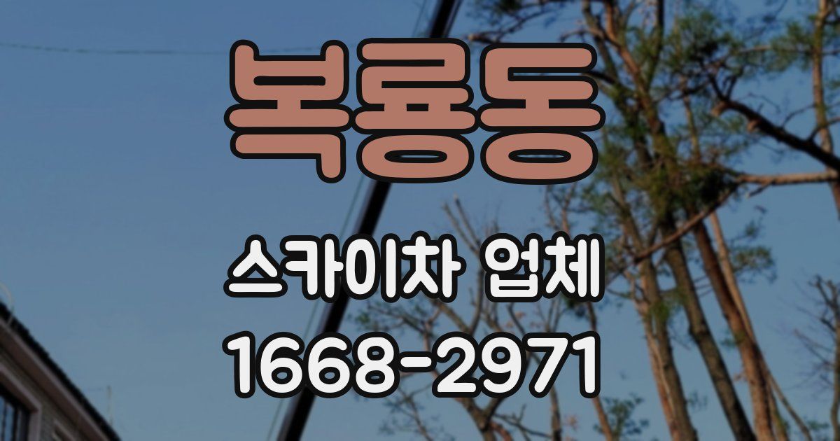 복룡동 스카이차 업체