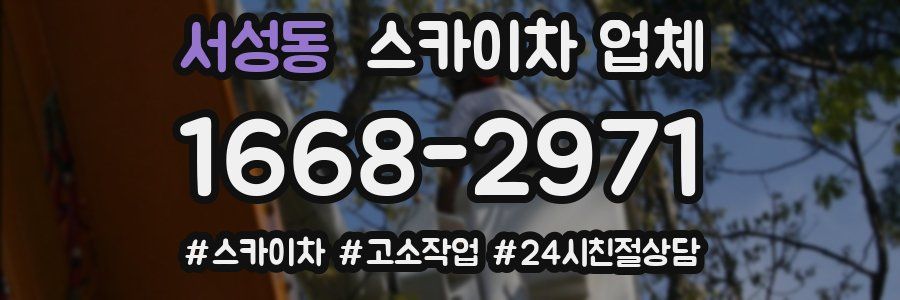 서성동 스카이차 업체