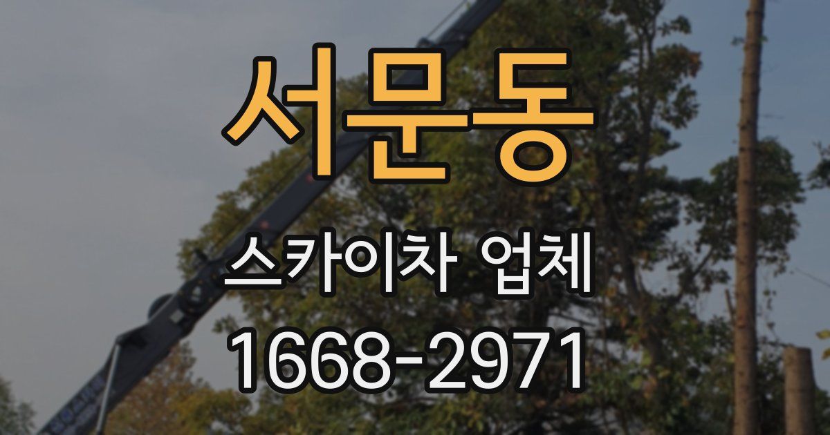 서문동 스카이차 업체