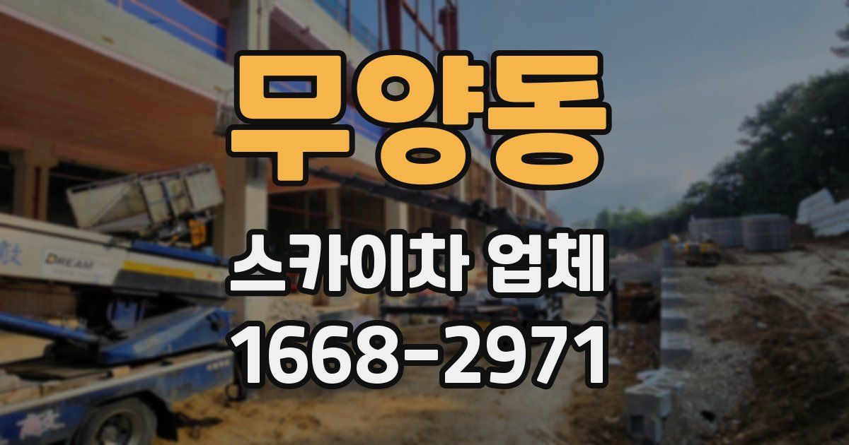 무양동 스카이차 업체