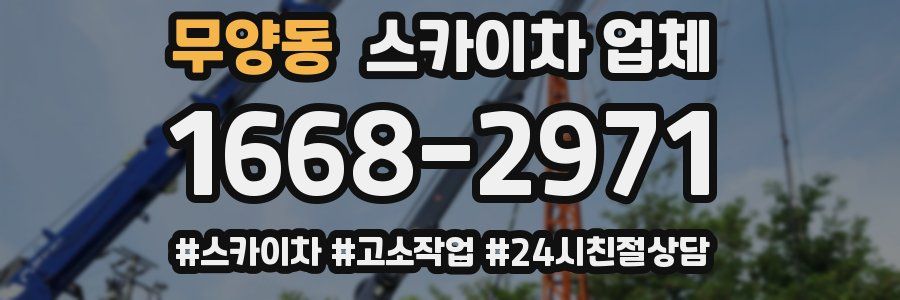 무양동 스카이차 업체
