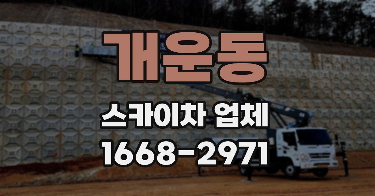 개운동 스카이차 업체