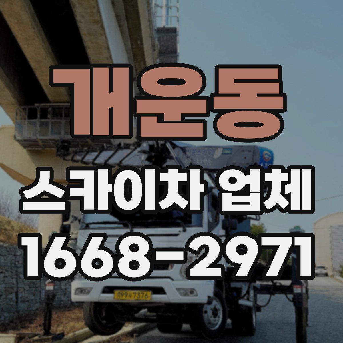 개운동 스카이차 업체