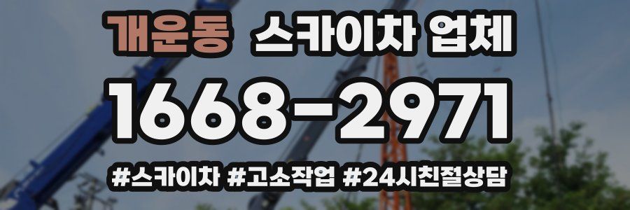 개운동 스카이차 업체