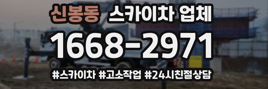 신봉동 스카이차 업체