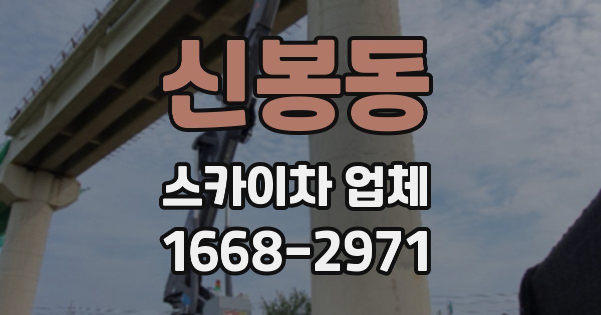 신봉동 스카이차 업체