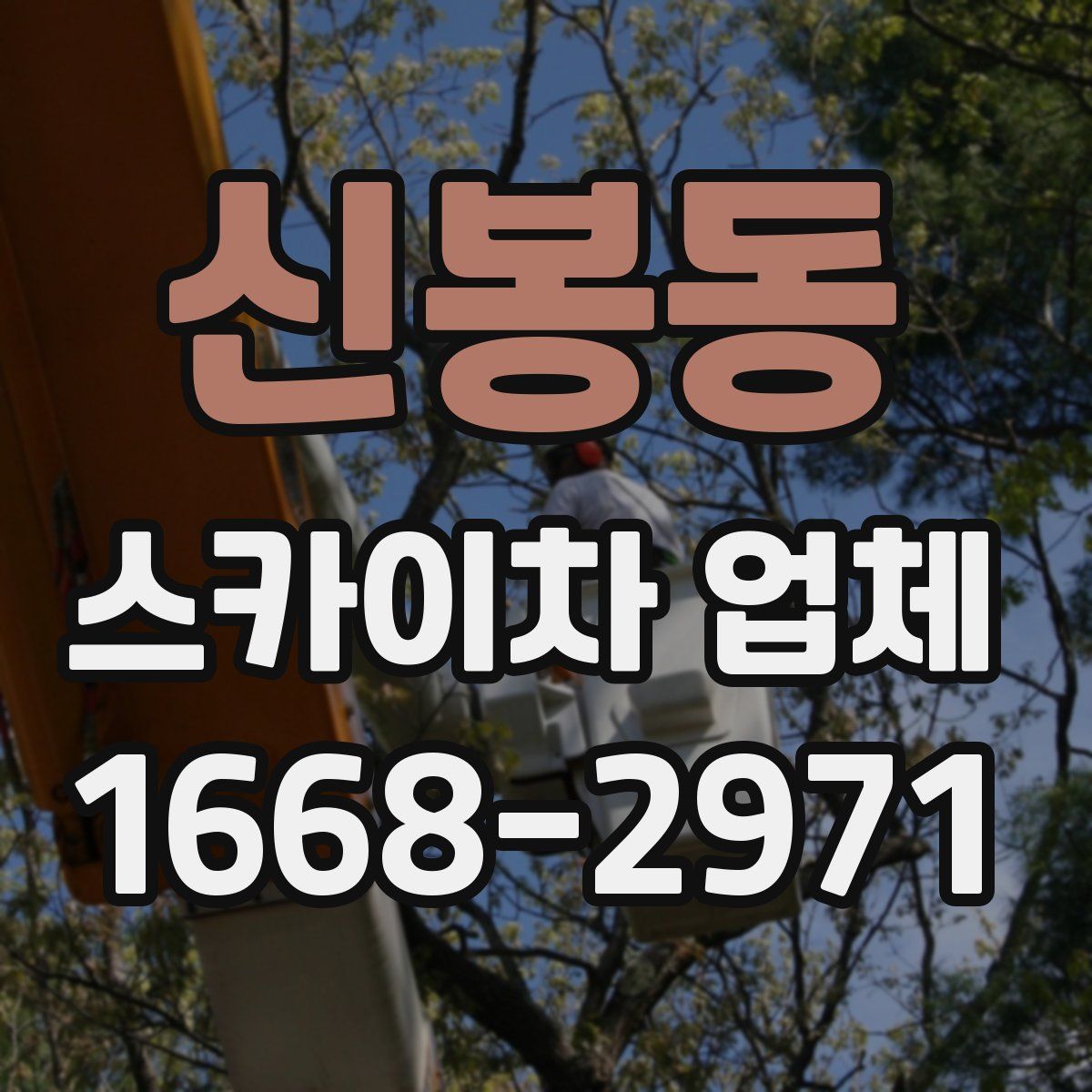 신봉동 스카이차 업체