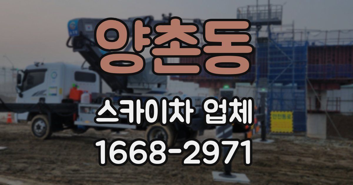 양촌동 스카이차 업체