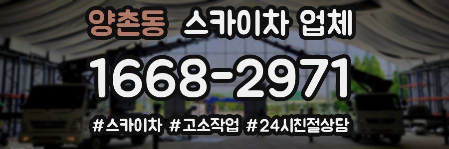 양촌동 스카이차 업체