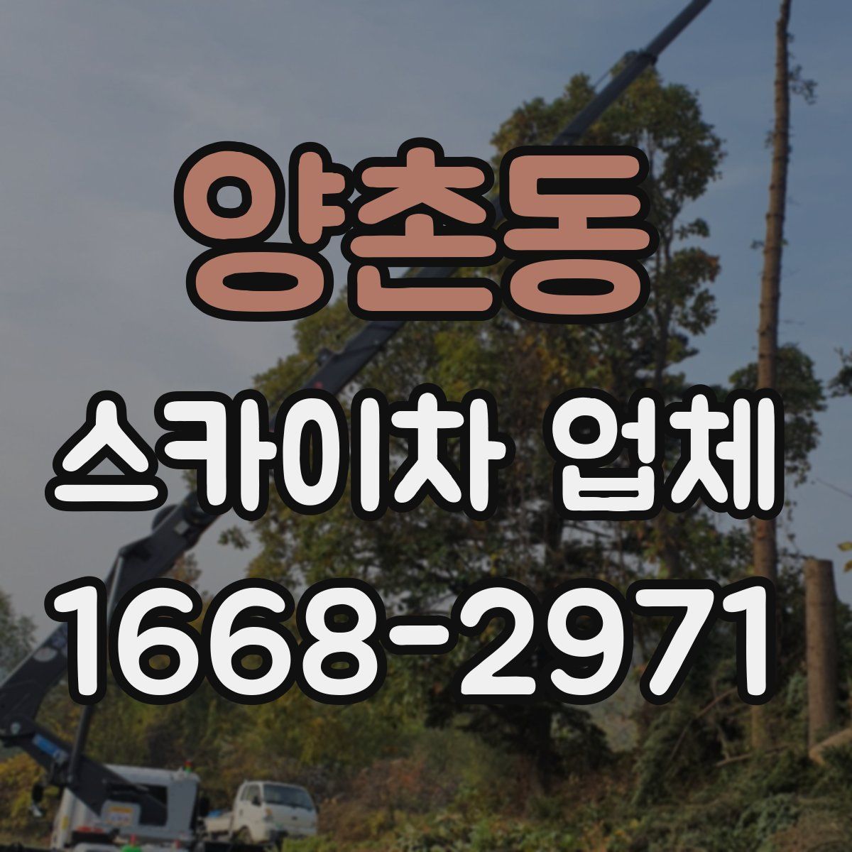 양촌동 스카이차 업체